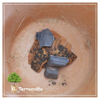 Hydrokorrels gebruiken in een pot