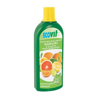 citrusplant-voeding-mest-xlterracotta