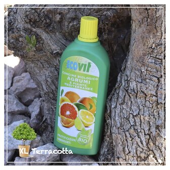 citrusplanten-voeding-meststoffen-vloeibaar