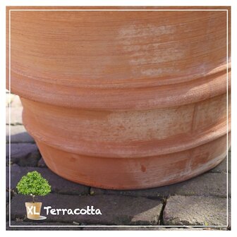 terracottapot-glad-vorstbestendig-50cm