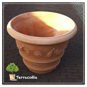 olijfboom-pot-100cm-terracotta