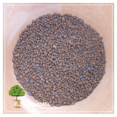 Hydrokorrels in terracotta pot