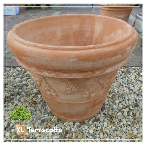 Terracotta pot met druiven