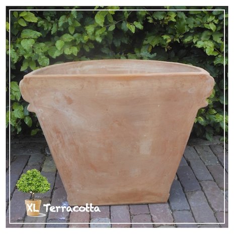 Terracotta muur pot