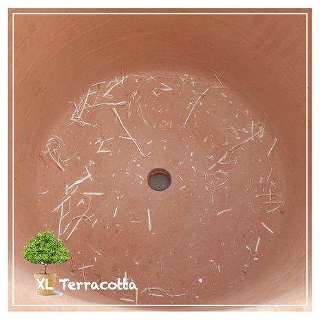 Italiaanse terracotta pot groot