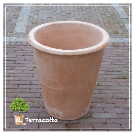 Terracotta pot 55 cm