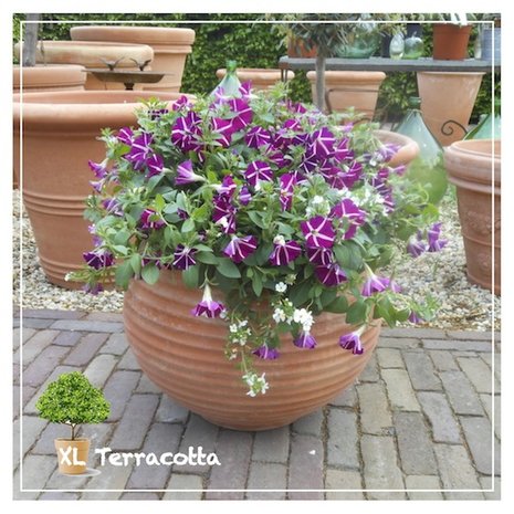 50 cm terracotta ribbel pot