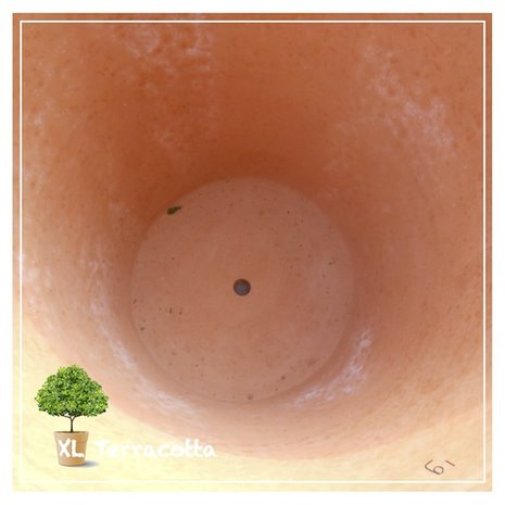 80 cm terracotta pot