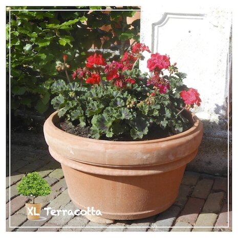 Half hoge terracotta pot 55 cm.