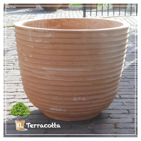 geribbelde terracotta pot