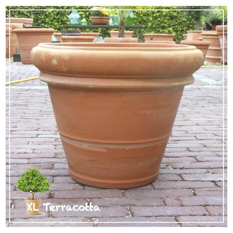 52 cm terracotta pot