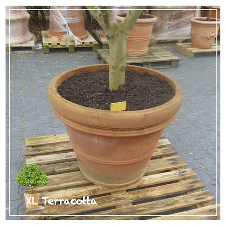 terracottapot-80cm-olijfboom