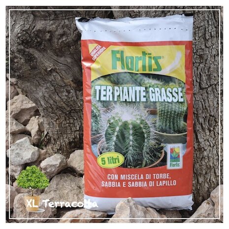 cactussen-potgrond-cactus-aarde-cactussen-xlterracotta