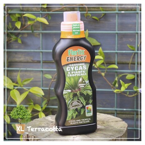 palmboom-mest-voeding-vloeibaar-xlterracotta