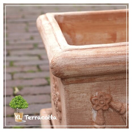 terracottabak-rechthoekig-60cm